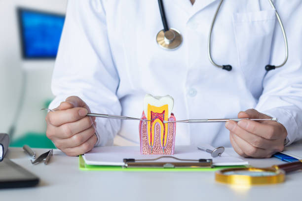 Best Emergency Root Canal Therapy in San Bernardino, CA